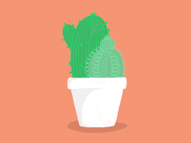 Cactus Dance animation cactus dance gif green happy motion peach plant plant illustration pot procreate