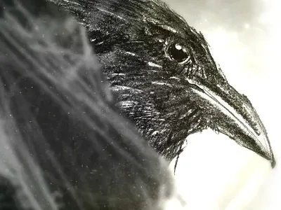 Seasons - EP04 animation artwork black and white design graphic novel motion pencil project rough sketch