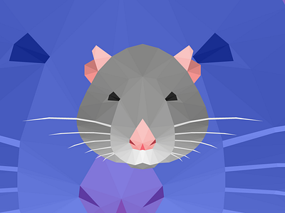 Rat with background 2d adobe illustrator amateur animal blue design flat flat design illustration illustrator illustrator art illustrator cc low poly low poly art low polygon lowpoly lowpolyart rat triangle vector