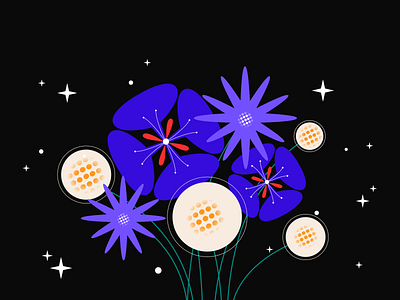 Blooming Beauties: A Collection of Flowers in the Night black dark digital flower illustration minimalistic night