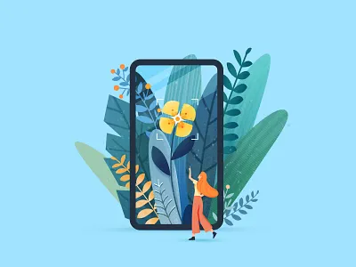 引导页插画-识别花 插图