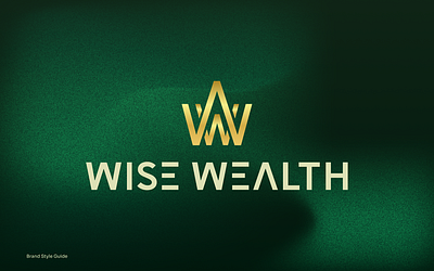 Wise Wealth Finance Branding brand design brand identity branding design graphic design illustration logo visual identity