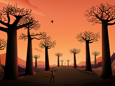 The Tale of Madagascar adansonia bird evening illustration illustrations landscape leamur light madagascar sunset tree vector