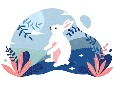 rabbit illustration