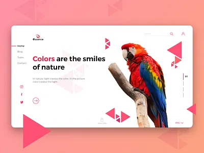 Essence Nature Blog Webpage blog clean colorful design gallery interaction design landing page landing page concept logo typography ui ux uxui web web design webpage website
