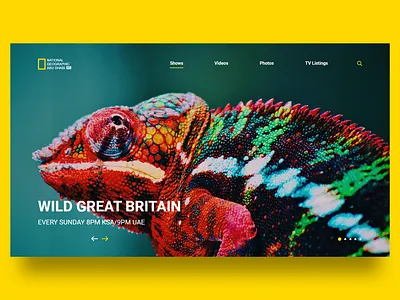 National Geographic Abu Dhabi clear design landing page nat geo ad national geographic national geographic abu dhabi redesign ui ux vector web