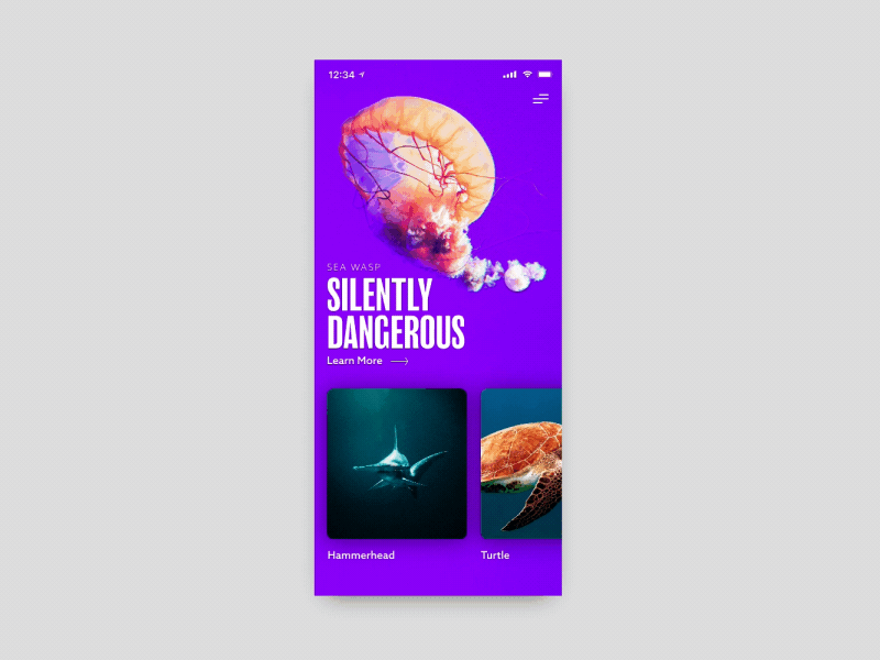 Sea Life Discovery App animated app concept design invisionstudio landing life life aquatic prompt sea ui under the sea