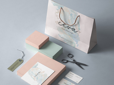 Ceva | Brand Identity adobe brand and identity brand design branding clean color design designer flat graphic design identity illustration logo minimal shapes typography vector