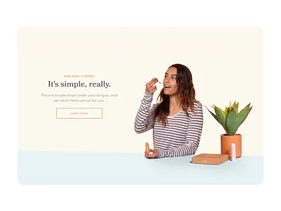 Web Design / Graphic Design design designer designer for hire graphic graphic design graphics hire ui web web design