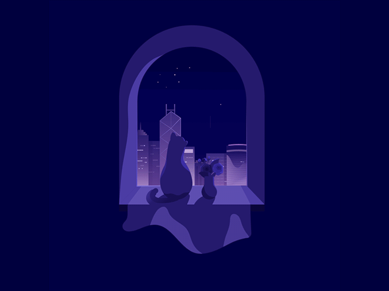 Firework at night animation building cat firework illustration night quite window