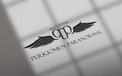 Paranormal Investigation Logo branding branding package design graphic design logo vector