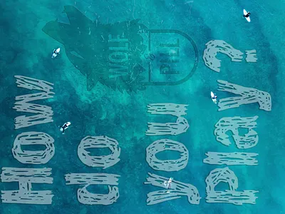 Wolf and Pill blue brand branding designer fathers wear graphic design illustrator logo mountains photoshop ski snowboard surf wolfandpill wolfpill