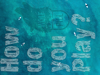 Wolf and Pill blue brand branding designer fathers wear graphic design illustrator logo mountains photoshop ski snowboard surf wolfandpill wolfpill