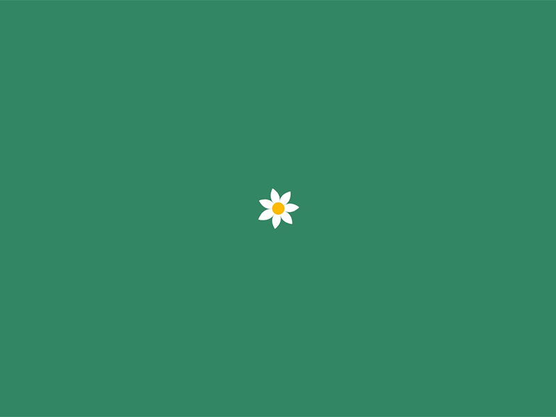 Flower Loader animation design flower green gsap javascript loader nature