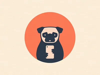 Pug Selfie camera mirror phone portrait pug self portrait selfie shot smartphone