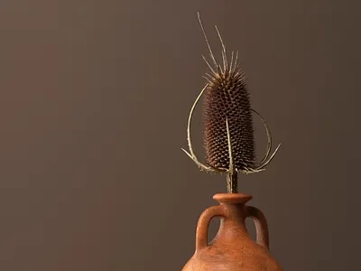 Scabra 3d abstract c4d cinema4d digital art octane photogrammetry render