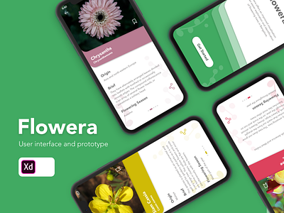 Flowera Mobile App UI Design adobe after effects adobe illustrator adobexd animation app app animation app branding cinema 4d design google illustration interaction interaction design interactive app mobile ui uiux user experience user interface ux