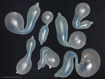 Live! with Jillian Adel bubble letters design dimensional lettering dimensional type hand lettering illustration lettering script type typography