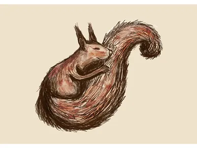 Sleeping Squirrel animal art children art cute dribbble illustration procreate squirrel
