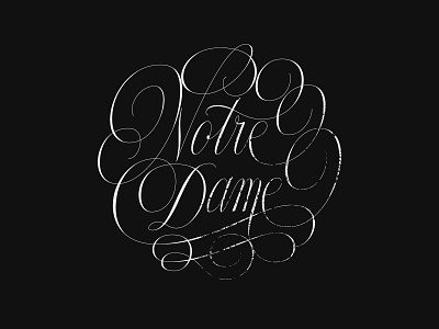 Notre Dame calligraphy design france goodtype graphic design hand lettering illustrator lettering notre dame paris script thedailytype type typegang typematters typespire typetopia typeyeah typism vector
