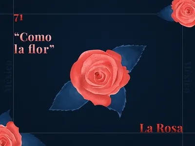La Rosa illustration rose selena
