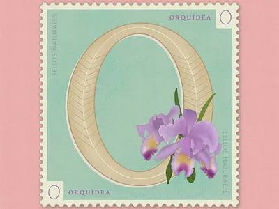 Letter O · Orquídea · #36daysoftype #SellosNaturales 36 days of type 36 days of type lettering adobe flowers illustration illustration letra o lettering lettering animation orchid orquidea procreate sellos naturales spring stamp summer venezuela vintage art vintage illustration vintage stamp