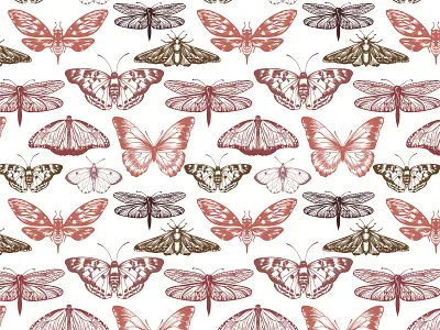 Butterfly pattern butterflies butterfly detail hand drawn pattern seamless vintage