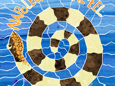 Napoleon Snake Eel eel fish illustration illustration art ocean oceanlife sea sealife water
