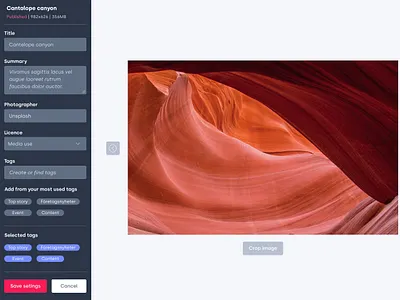 Image Editor app design ui ux web