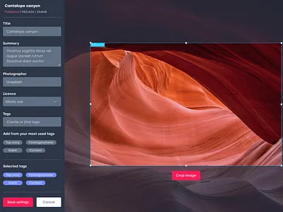 Image Editor app design ui ux web