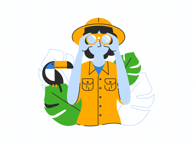 "Are you lost?" Animation animation binoculars gif gif animated illustration jungle palm safari toucan