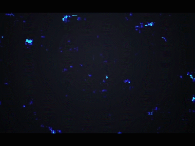 Background_Animation_3. Day_39 after effect animation background background animation background animation 3. day 39 background pattern corporate corporate branding flat loop loop animation loop video motion motion mela