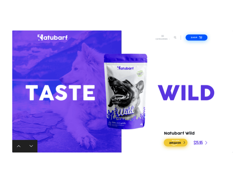 Web Design - Dogs Food #2 animation app clean design flat illustration interactive ios logo motion principle prototype responsive typography ui ux web web design