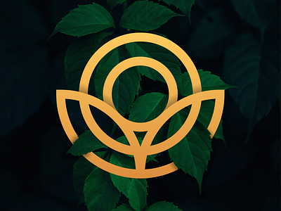 O + sun + leaves branding clean colorful creative design geometric icon identity letter logo logodesign luxury mark minimal modern organic smart sun