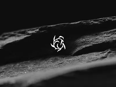 VeraVita branding circle company leaf logo medical willow