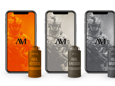 AMS Case Study case study design