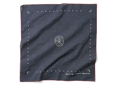 Wallace Lake Bandana bandana hand drawn illustration outdoors rei co op