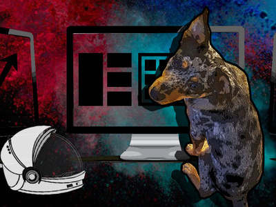 Digital Marketing Services colorado digital marketing agency fort collins