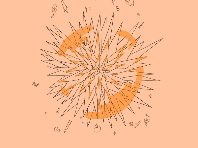 Spiny Shield (outlines) 2d after effects animation design digital dungeons and dragons flat illustration outline illustration spells