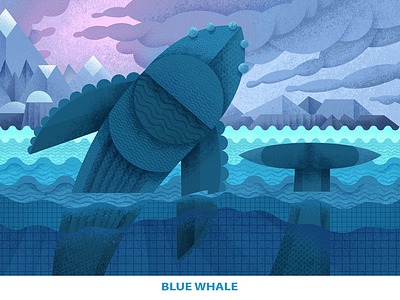 Endangered Blue Whale animals blue whale character art characterdesign contemporary contemporaryillustration digital digitalart drawing endangered endangered animal illustration modern modern art nature ocean sea sea creature spieces whale