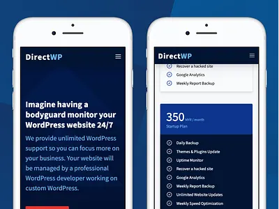 Directwp - WordPress Support landing page ui web web design web dev webdesign wordpress