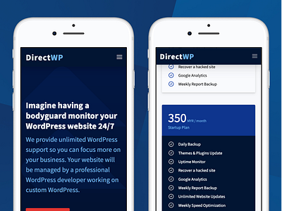 Directwp - WordPress Support landing page ui web web design web dev webdesign wordpress