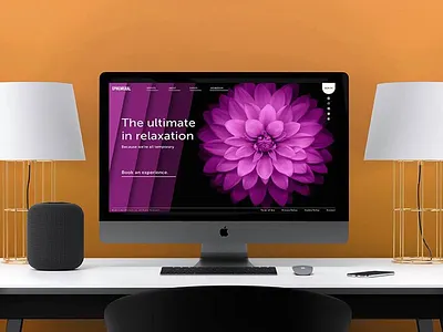 Registered Massage Therapy