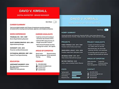 Light Theme and Dark Theme Resume creative dark theme light theme marketing resume