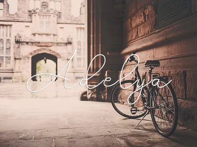 Adelya - Free Flowing Monoline Font ads apparel apps branding editorial font free font free fonts free typeface freebie freebies headlines identity labels logo logos logotype stationery typeface typography