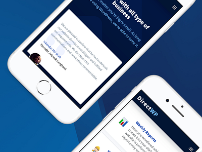 Directwp - Mobile Version landing page web web design webdesign wordpress