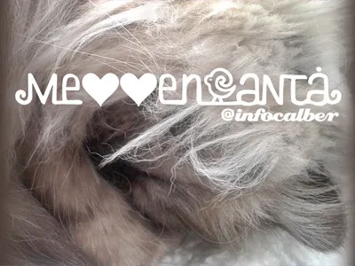 catalino abstract animals cat collage concept design distortion gato imaginative kitten kitty observational people portrait