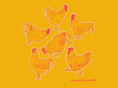 Birb is the Word. animal branding food and beverage hospitality illustration logo retail