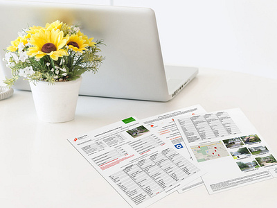Print Mock-up print mockup