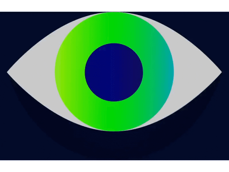 Explainer 2 For Kiwi New Energy Ico Cryptocurrency - shot№1 2danimation animation art calculator crypto currency digital e commerce economic energy explainer eye freelance kiwi motion motiondesign motiongraphics new platform solar